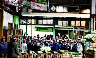 Productores hortícolas tendrán su punto de venta en el Mercado Central
