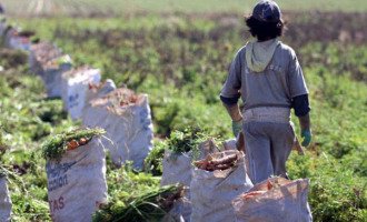 Trabajo infantil y pobreza: dos caras de la misma moneda