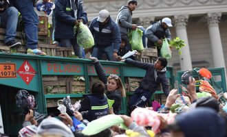 Nuevo “verdurazo” por una ley de acceso a la tierra