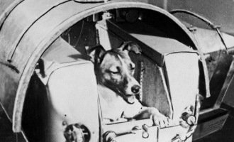 Laika, la perra que marcó un hito en la carrera espacial