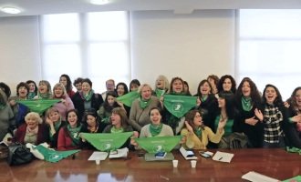 Primeros pasos para el aborto legal en el Senado