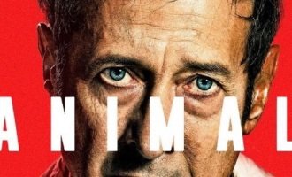 El cine argentino y la implosión de la clase media
