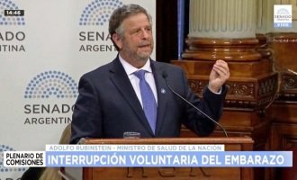 Rubinstein expuso en el Senado: “El aborto es una cuestión de salud pública”