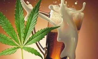 Canadá: cerveza cannábica desata competencia entre empresas