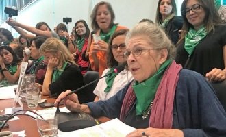 “Hay un consenso y una despenalización social del aborto que hemos ganado en esta lucha”