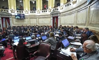 Los senadores que dijeron “no” al aborto legal y buscarán renovar su banca en 2019