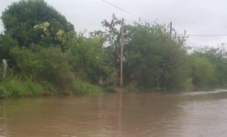 Temporal en La Plata: zonas rurales aisladas y pérdidas en las cosechas