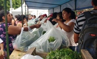 Pueblo a Pueblo: verduras agroecológicas a precios justos