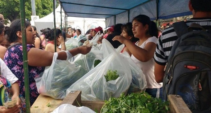 Pueblo a Pueblo: verduras agroecológicas a precios justos
