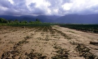 Cambio climático: ONU recomienda cinco acciones individuales para “hacer la diferencia”