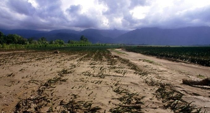 Cambio climático: ONU recomienda cinco acciones individuales para “hacer la diferencia”