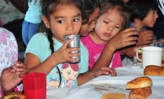 En tres años cayó un 10% el consumo de leche y alertan sobre malnutrición infantil