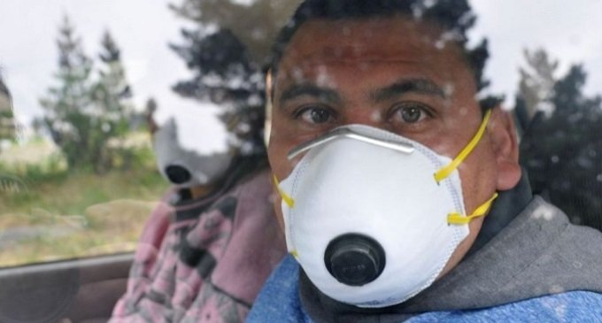 Pánico, desinformación y un Estado ausente: ¿Qué se oculta detrás del Hantavirus?