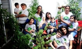 Cannabis medicinal: “Hace años venimos pidiendo que se nos de autorización a nosotras”