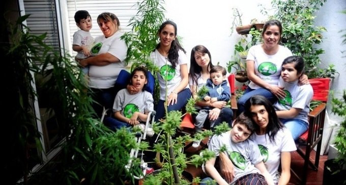 Cannabis medicinal: “Hace años venimos pidiendo que se nos de autorización a nosotras”