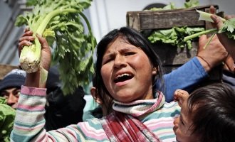 Verdurazo: “En el mundo la producción de alimentos la definen seis empresas multinacionales”
