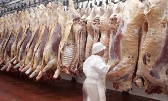 Gremios de la carne amenazan con paralizar la industria