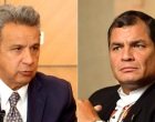 Lenín Moreno: “Si Correa regresa al país, va a la cárcel”