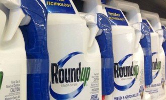 Un fallo millonario contra Monsanto-Bayer que (todavía) no sienta precedentes en Argentina