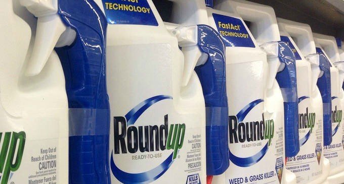 Un fallo millonario contra Monsanto-Bayer que (todavía) no sienta precedentes en Argentina