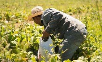 Impulsan una “reforma agraria” periurbana para proteger el trabajo de productores frutihortícolas