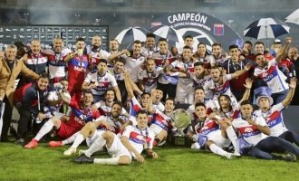 Tigre campeón