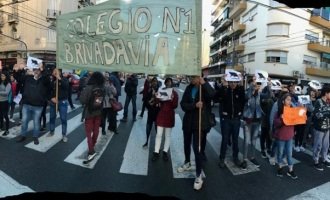 Protesta por invasión de ratas en una escuela de Constitución